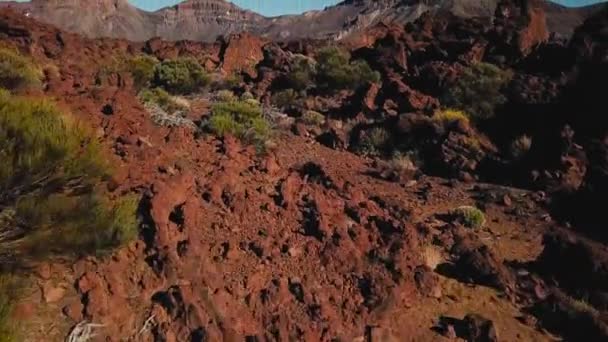 Havadan görünümü Teide Milli Parkı, dağlar ve sertleştirilmiş lav üzerinde uçuş. Tenerife, Kanarya Adaları — Stok video