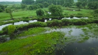 Hava bataklık arazi ve çayırlar üzerinde filme