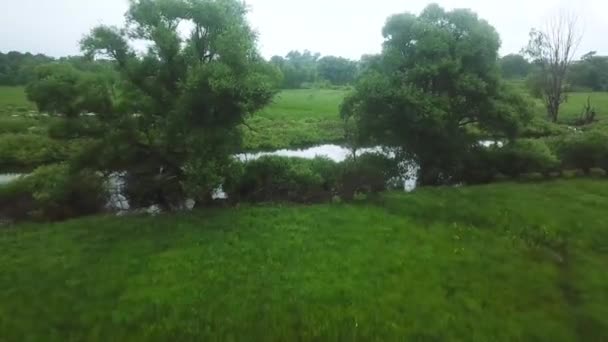 Filmowanie z powietrza nad bagnistego terenu i łąki — Wideo stockowe
