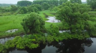 Hava bataklık arazi ve çayırlar üzerinde filme