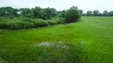 Uçuş Seim nehir, Ukrayna - ağaçlarıyla çevrili üzerinde hava videoya