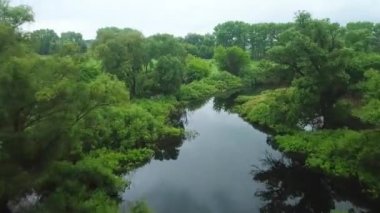Uçuş Seim nehir, Ukrayna - ağaçlarıyla çevrili üzerinde hava videoya