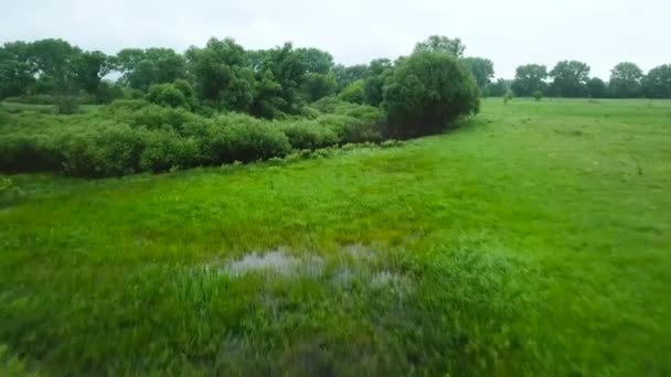 Vuelo sobre el río Seim, Ucrania rodeado de árboles - grabación aérea — Vídeos de Stock