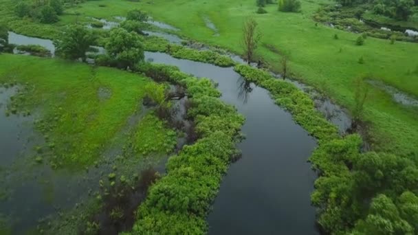 Luftaufnahmen über sumpfigem Gelände und Wiesen — Stockvideo