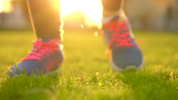 Παπούτσια για τρέξιμο - γυναίκα δένοντας κορδόνια — Αρχείο Βίντεο