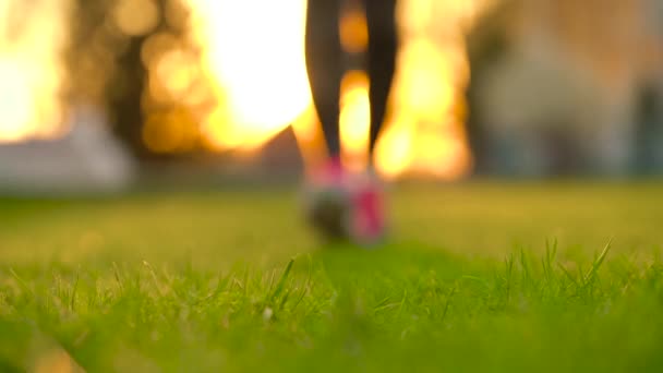 Running shoes - woman tying shoe laces — Stock Video