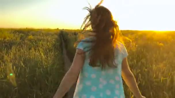 Ομορφιά κορίτσι τρέχει στο πεδίο καταπράσινη σιτάρι πάνω από sunset ουρανό. Έννοια ελευθερία. Πεδίο σιτάρι στο ηλιοβασίλεμα. — Αρχείο Βίντεο