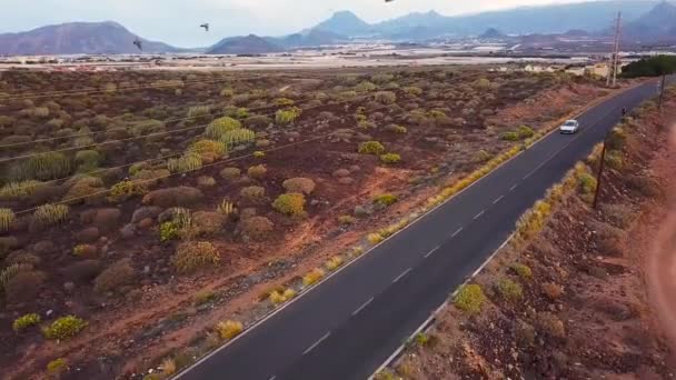 Blick von oben auf ein Auto fährt entlang einer Wüstenstraße — Stockvideo