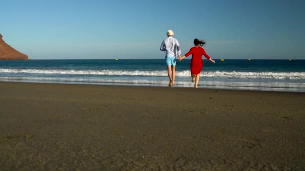 Ζευγάρι στην αγάπη ξέγνοιαστες περπάτημα στο νερό στην παραλία. Γραφικό ωκεανό ακτή της Τενερίφης, Κανάρια νησιά, Ισπανία — Αρχείο Βίντεο