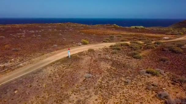 Vue aérienne d'une femme faisant de la randonnée et faisant une photo de la surface volcanique près de la côte océanique, Tenerife, Îles Canaries, Espagne — Video