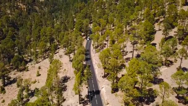 在 Teide 国家公园的汽车的道路的顶部视图。特内里费岛, 加那利群岛, 西班牙 — 图库视频影像