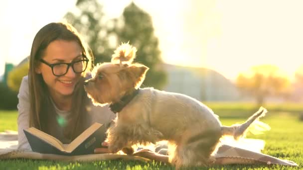 Дівчина в окулярах читає книгу, лежачи на ковдрі в парку, і маленька собака біжить навколо і грає навколо на заході сонця — стокове відео