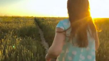Yeşil buğday sahada çalışan üzerinde gökyüzü günbatımı güzellik kız. Özgürlük kavramı. Buğday alanında günbatımı. Ağır çekim