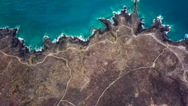 Vista superior de uma costa deserta. Costa rochosa da ilha de Tenerife. Imagens aéreas de drones de ondas marinhas que chegam à costa — Vídeo de Stock