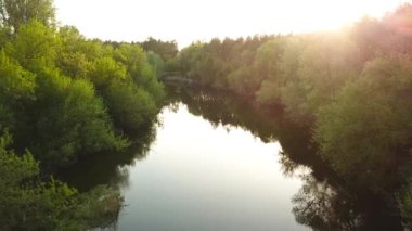 Uçuş Seim nehir, Ukrayna - ağaçlarıyla çevrili üzerinde hava videoya