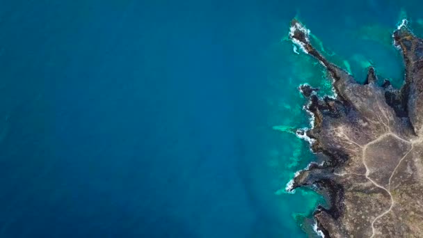 Vue de dessus d'une côte déserte. Côte rocheuse de l'île de Tenerife. Images aériennes de drones de vagues atteignant le rivage — Video