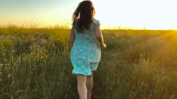美丽的女孩运行在绿色麦田在日落的天空。自由概念。麦田在日落。慢动作 — 图库视频影像