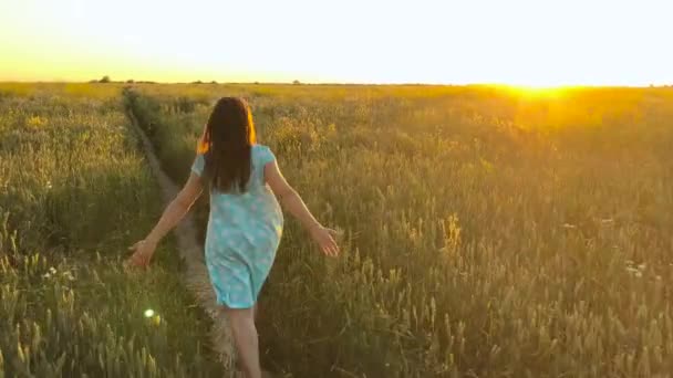 美丽的女孩运行在绿色麦田在日落的天空。自由概念。麦田在日落 — 图库视频影像