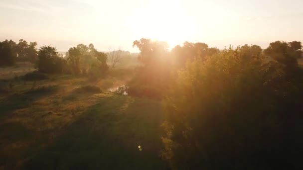 Εναέρια άποψη του ποταμού καλυμμένη με ομίχλη την αυγή. Ουκρανία — Αρχείο Βίντεο
