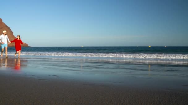 情侣相爱无忧无虑地沿着海滩奔跑。风景如画的特内里费岛海洋海岸, 加那利群岛群岛, 西班牙 — 图库视频影像