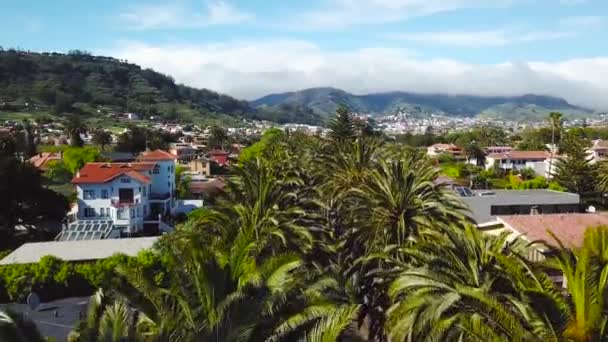Θέα από το ύψος στον townscape San Cristobal De La Laguna, Τενερίφη, Κανάριοι Νήσοι, Ισπανία — Αρχείο Βίντεο
