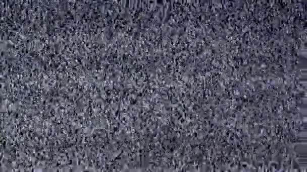 Telewizja szumy, czarny, biały — Wideo stockowe