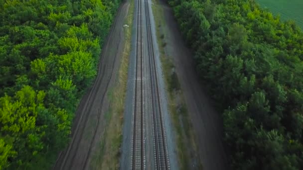 Ferrocarriles de doble vía rectos y vacíos rodeados de bosque verde, vista aérea — Vídeos de Stock