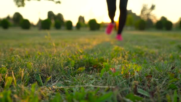 Παπούτσια για τρέξιμο - γυναίκα δένοντας Κορδόνια παπουτσιών. Αργή κίνηση — Αρχείο Βίντεο