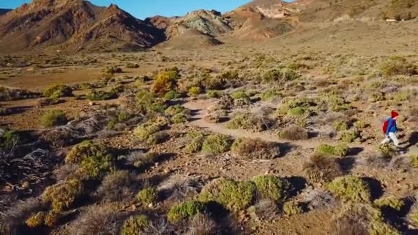 Vista aérea del senderismo activo en el Parque Nacional del Teide. Mujer joven blanca con mochila en Tenerife, Islas Canarias, España — Vídeo de stock