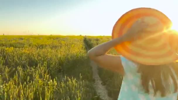 美しさの少女は、夕焼け空を緑の麦畑のイエロー ハットで実行されています。自由の概念。日没の麦畑 — ストック動画