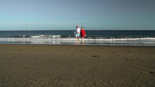 Пара влюбленных беззаботных прогулок от воды на пляже. Живописное океанское побережье Тенерифе, Канарские острова, Испания. Медленное движение — стоковое видео