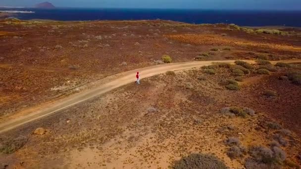 Vista aérea de uma mulher faz foto no smartphone na superfície vulcânica perto da costa do oceano, Tenerife, Ilhas Canárias, Espanha — Vídeo de Stock