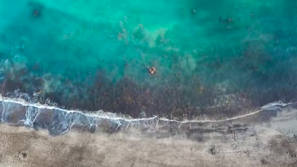 Vista superior de una playa volcánica negra desierta. Costa de la isla de Tenerife. Imágenes aéreas de drones de olas marinas que llegan a la orilla — Vídeo de stock