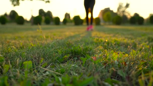 Running shoes - vrouw koppelverkoop schoenkant — Stockvideo