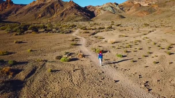在 Teide 国家公园徒步旅行的活跃徒步女郎的鸟瞰图。在特内里费岛, 加那利群岛, 西班牙有背包的高加索年轻女子 — 图库视频影像