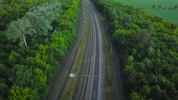 Пустые прямые двусторонние железные дороги, окруженные зеленым лесом, вид сверху с воздуха — стоковое видео
