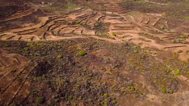 Vista superior da superfície do deserto perto da costa atlântica. Tenerife, Ilhas Canárias, Espanha — Vídeo de Stock