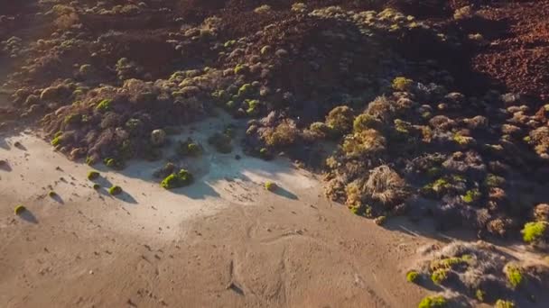 Luchtfoto van de Teide Nationaal Park, vlucht over de bergen en geharde lava. Tenerife, Canarische eilanden — Stockvideo