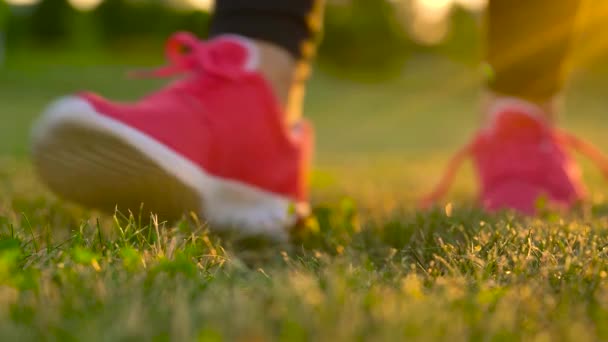 Zapatos para correr - mujer atando cordones de zapatos. Movimiento lento — Vídeo de stock