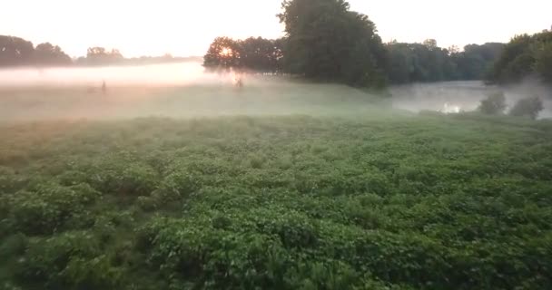 Veduta aerea del prato e del fiume coperto di nebbia all'alba. Ucraina — Video Stock