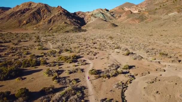 A légi felvétel a gyalogos természetjáró aktív nő, és teszi a fénykép a Teide Nemzeti Parkban. Kaukázusi, fiatal nő a hátizsák a Tenerife, Kanári-szigetek, Spanyolország — Stock videók