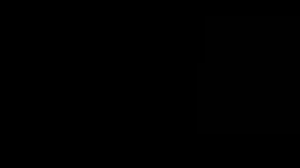 Ruído estático da televisão e uma tela preta no momento da comutação do canal, preto, branco — Vídeo de Stock