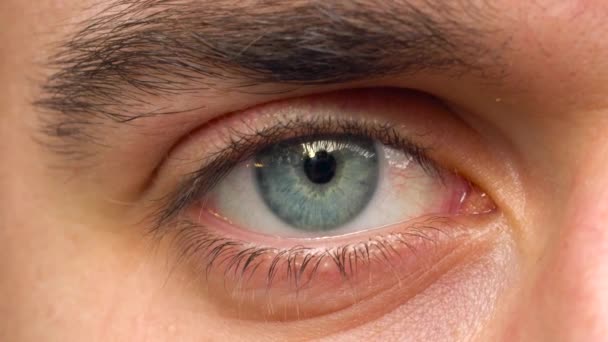 Krásné blikající mužské oko detail — Stock video