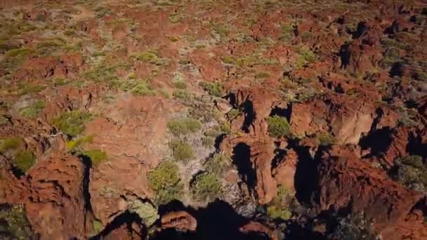 Εναέρια άποψη του εθνικού πάρκου Teide, πτήση πάνω από τα βουνά και σκληρύνει λάβα. Τενερίφη, Κανάριοι Νήσοι — Αρχείο Βίντεο