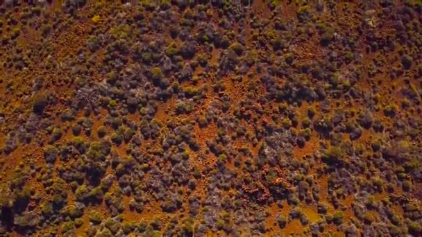 テイデ国立公園、山や硬化溶岩以上のフライトの空撮。テネリフェ島のカナリア諸島 — ストック動画