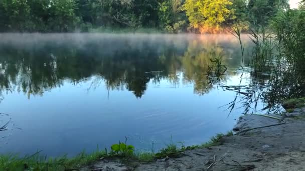 Tijd lapse uitzicht op de rivier bedekt met mist bij dageraad. Oekraïne — Stockvideo