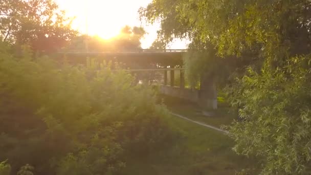 Vista aérea del puente de carretera rodeado de árboles verdes al atardecer — Vídeos de Stock