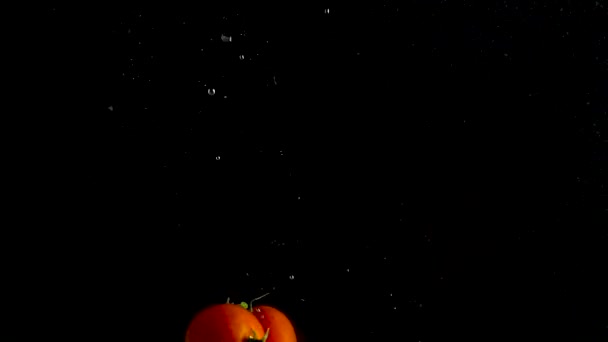 Rode tomaten vallen en in water, zwarte achtergrond, langzame motie drijven — Stockvideo