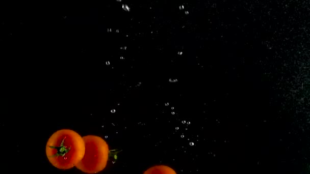 Rote Tomaten fallen und schweben im Wasser, schwarzer Hintergrund — Stockvideo