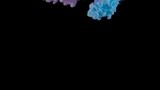 De daling van de kleur onderwater het maken van een zijden gordijnen. Inkt wervelende onderwater. Slow motion — Stockvideo